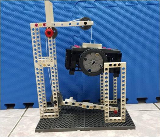 Trap Cage